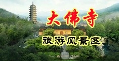 大鸡插鲍中国浙江-新昌大佛寺旅游风景区